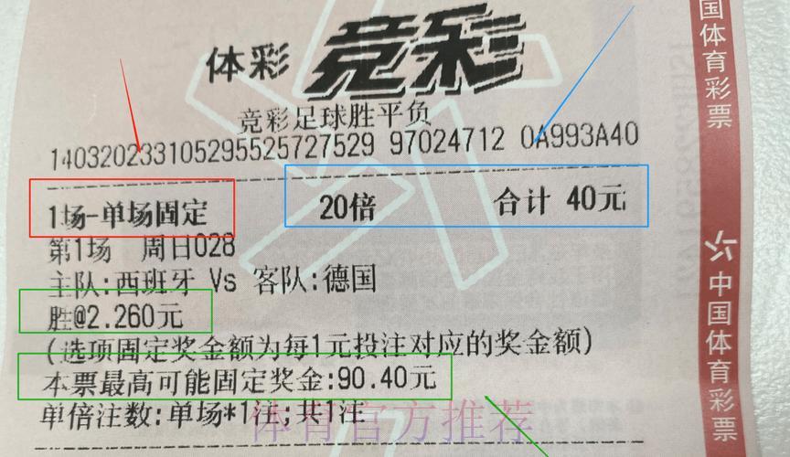 10元玩转世界杯彩票：投注技巧全攻略